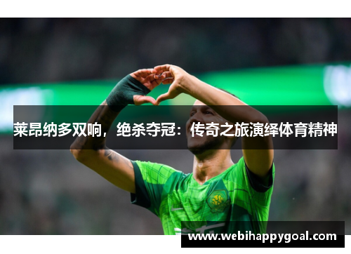 莱昂纳多双响，绝杀夺冠：传奇之旅演绎体育精神